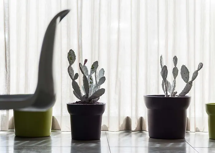 8piuhotel מלון 4*