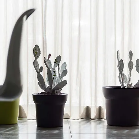 8piuhotel فندق 4*